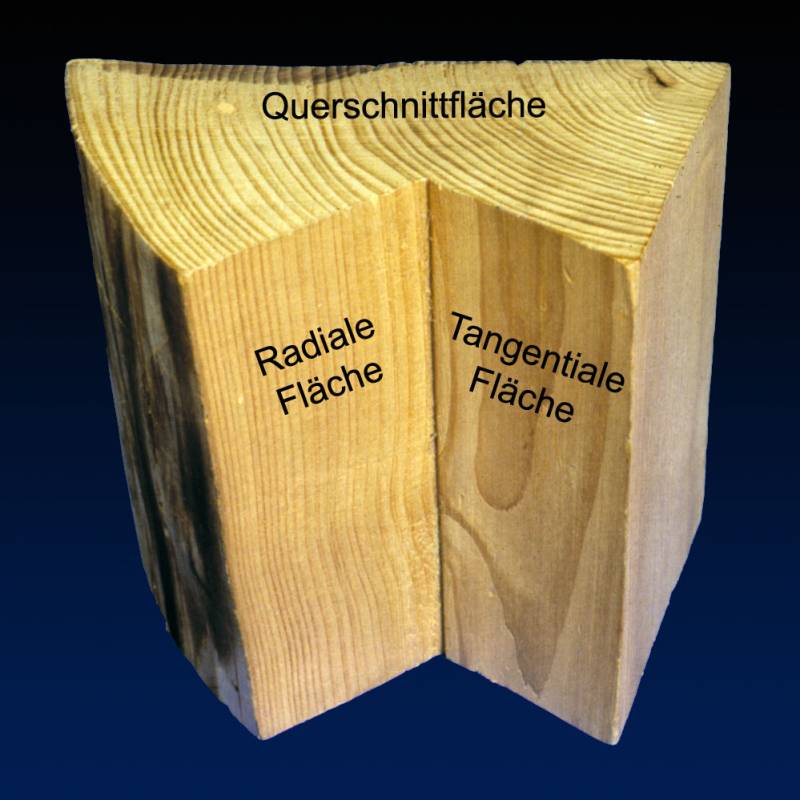 schnittrichtungen.jpeg schnittrichtungen.jpeg